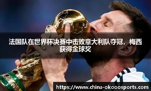 法国队在世界杯决赛中击败意大利队夺冠，梅西获得金球奖